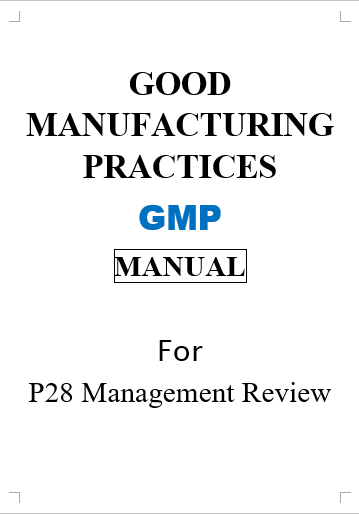 P28 Management Review