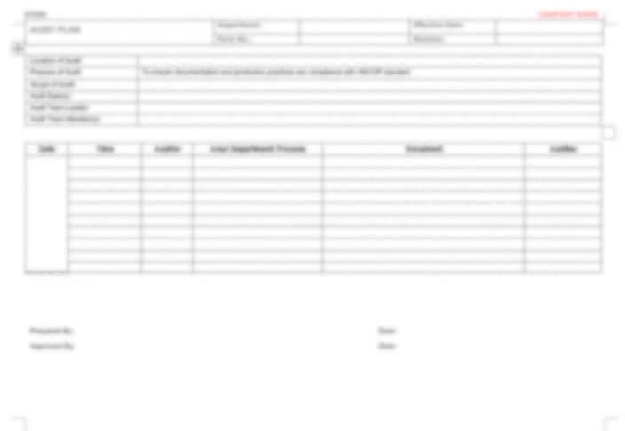 P27 F01 - (FORM) AUDIT PLAN